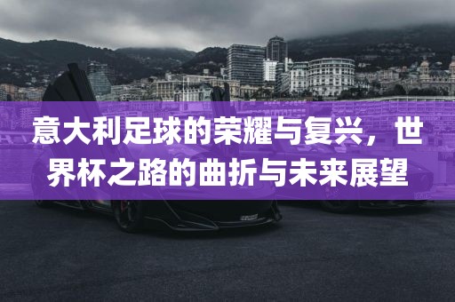 意大利足球的荣耀与复兴，世界杯之路的曲折与未来展望金炬实业股份有限公司