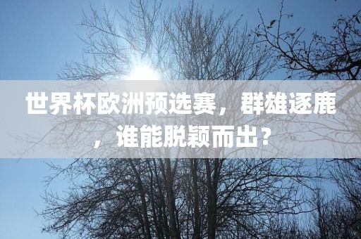 世界杯欧洲预选赛，群雄逐鹿，谁能脱颖而出？