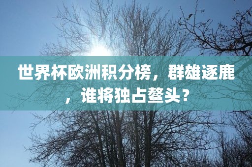 世界杯欧洲积分榜，群雄逐鹿，谁将独占鳌头？