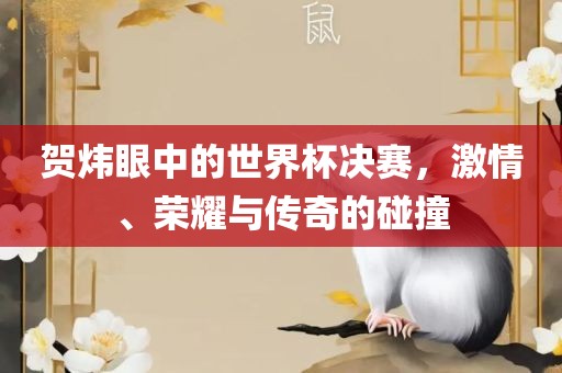 贺炜眼中的世界杯决赛，激情、荣耀与传奇的碰撞