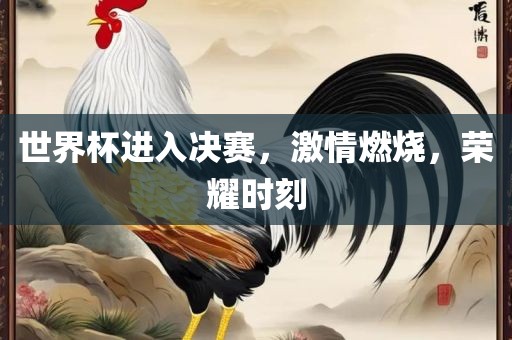 世界杯进入决赛，激情燃烧，荣耀时刻