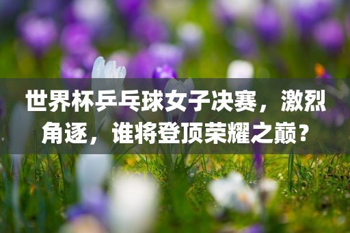 世界杯乒乓球女子决赛，激烈角逐，谁将登顶荣耀之巅？