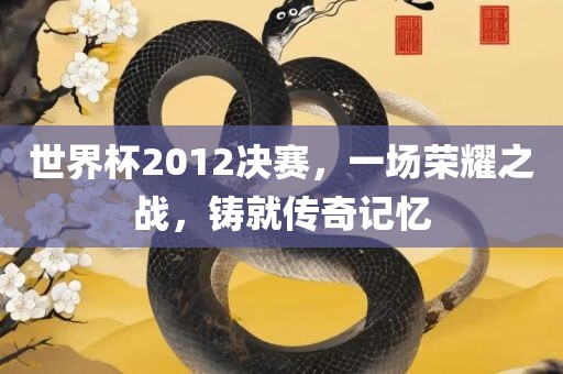 世界杯2012决赛，一场荣耀之战，铸就传奇记忆