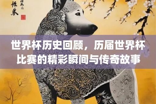 世界杯历史回顾，历届世界杯比赛的精彩瞬间与传奇故事