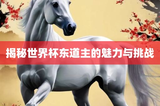 揭秘世界杯东道主的魅力与挑战金炬实业股份有限公司