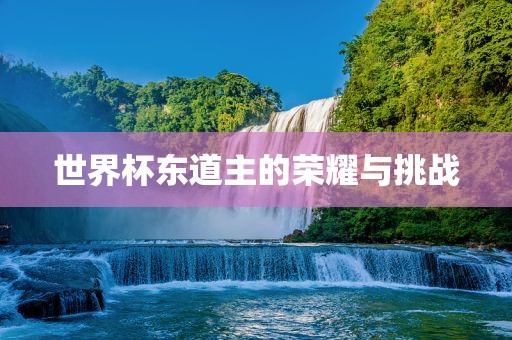 世界杯东道主的荣耀与挑战