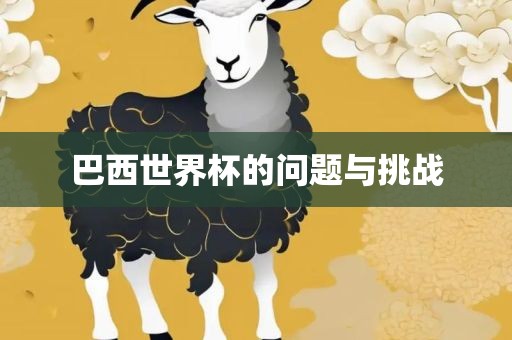 巴西世界杯的问题与挑战