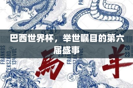 巴西世界杯，举世瞩目的第六届盛事