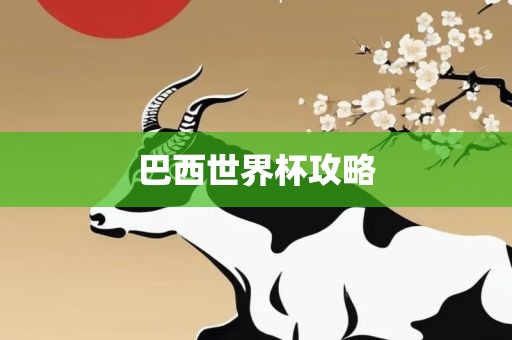 巴西世界杯攻略金炬实业股份有限公司