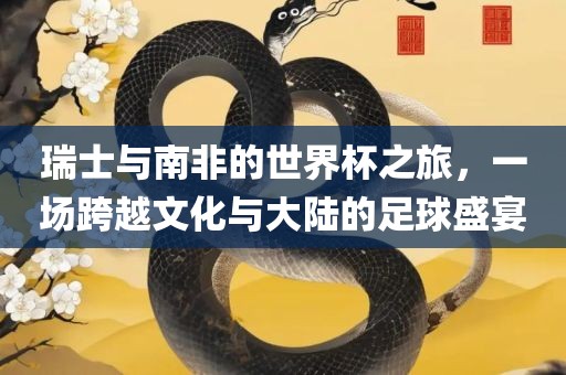 瑞士与南非的世界杯之旅，一场跨越文化与大陆的足球盛宴