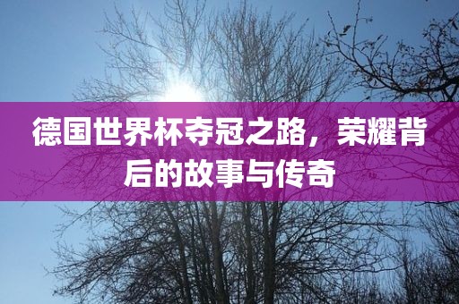 德国世界杯夺冠之路，荣耀背后的故事与传奇金炬实业股份有限公司