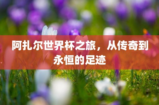 阿扎尔世界杯之旅，从传奇到永恒金炬实业股份有限公司的足迹