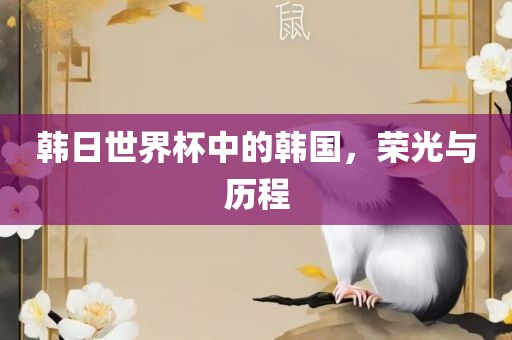 韩日世界杯中的韩国，荣光与历程金炬实业股份有限公司