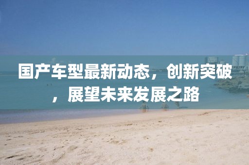 法国世界杯冠军，荣耀之路与足球传奇的铸就