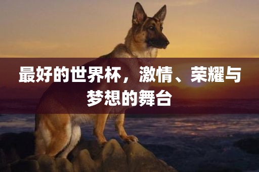 最好的世界杯，激情、荣耀与梦想的舞台金炬实业股份有限公司