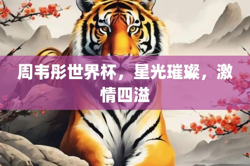 周韦彤世界杯，星光璀璨，金炬实业股份有限公司激情四溢